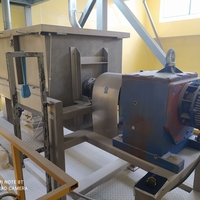 3000 L, ribbon mixer